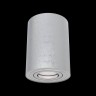 Потолочный светильник Maytoni Alfa C016CL-01S