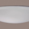 Потолочный светодиодный светильник Crystal Lux Luna PL60-3