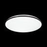 Настенно-потолочный светодиодный светильник Sonex Vaka 3042/CL