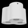 Потолочный светильник Lightstar Binoco 052036