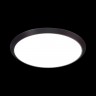Настенно-потолочный светодиодный светильник Sonex Yuki 3062/18L