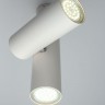 Потолочный светодиодный светильник Aployt Aksel APL.006.02.02