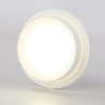 Потолочный светильник Ambrella light TN5383