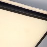 Потолочный светодиодный светильник Escada 10210/2LED
