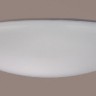 Потолочный светодиодный светильник Crystal Lux Luna PL80-3