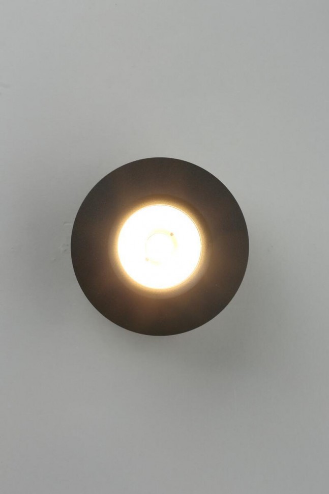 Потолочный светодиодный светильник Omnilux Borgetto OML-101919-12