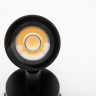 Ландшафтный светодиодный светильник DesignLed TN DL-FS0012-9-BL-WW 006810