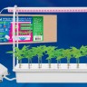 Светодиодный светильник для растений Uniel Гидропоника ULT-P44A-10W/SPSB IP40 Aqua White UL-00004496